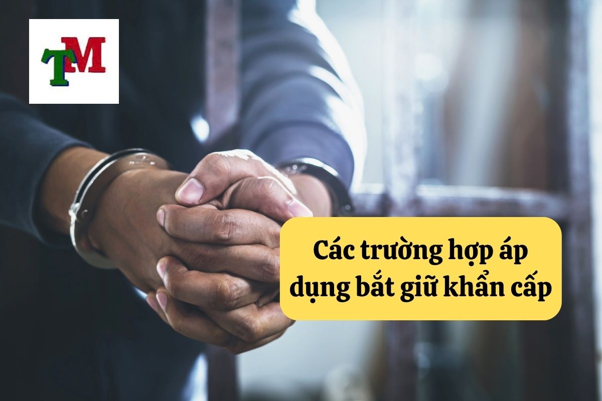 Bắt giữ người trong trường hợp khẩn cấp: 5 quy định pháp luật cần biết 2 Các trường hợp áp dụng bắt giữ khẩn cấp
