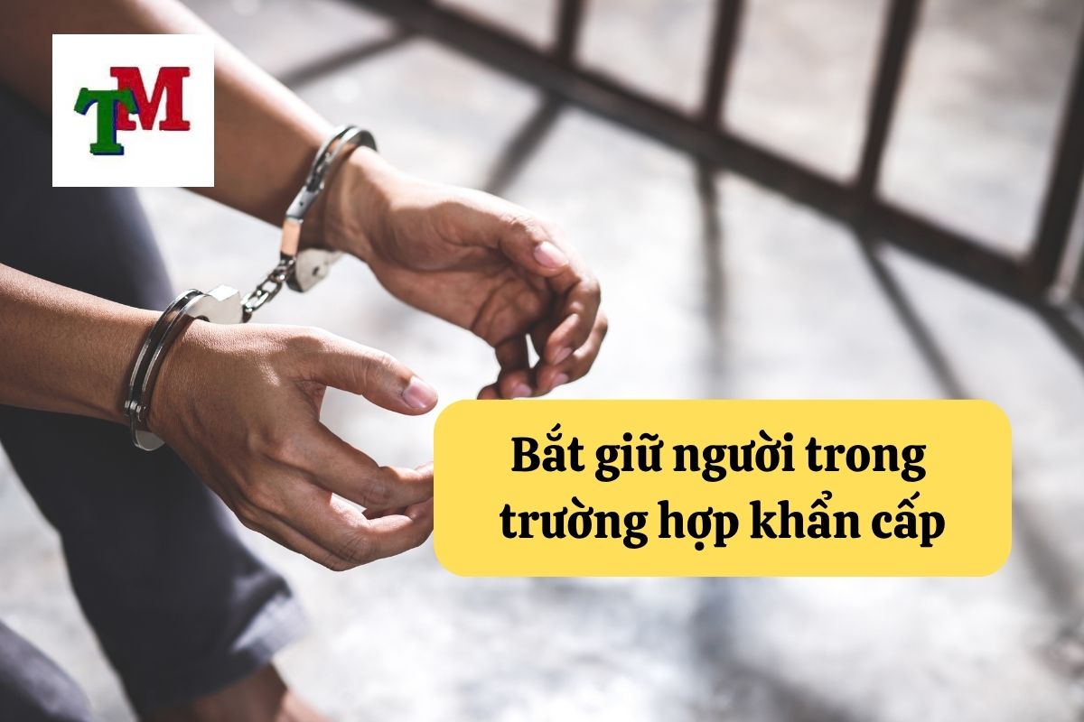 Bắt giữ người trong trường hợp khẩn cấp: 5 quy định pháp luật cần biết 1 Bắt giữ người trong trường hợp khẩn cấp: 5 quy định pháp luật cần biết