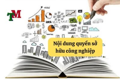 2. noi dung quyen so huu cong nghiep