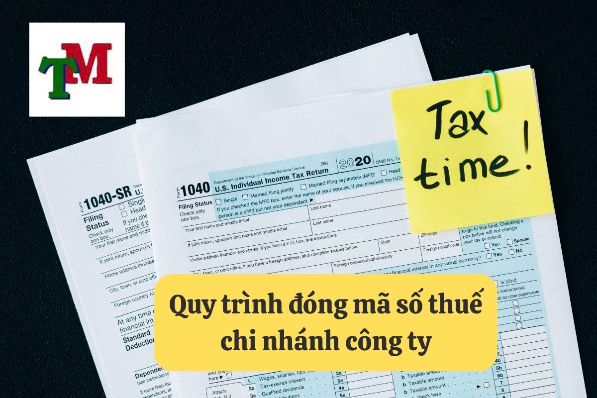 2. thu tuc dong ma so thue chi nhanh cong ty 2