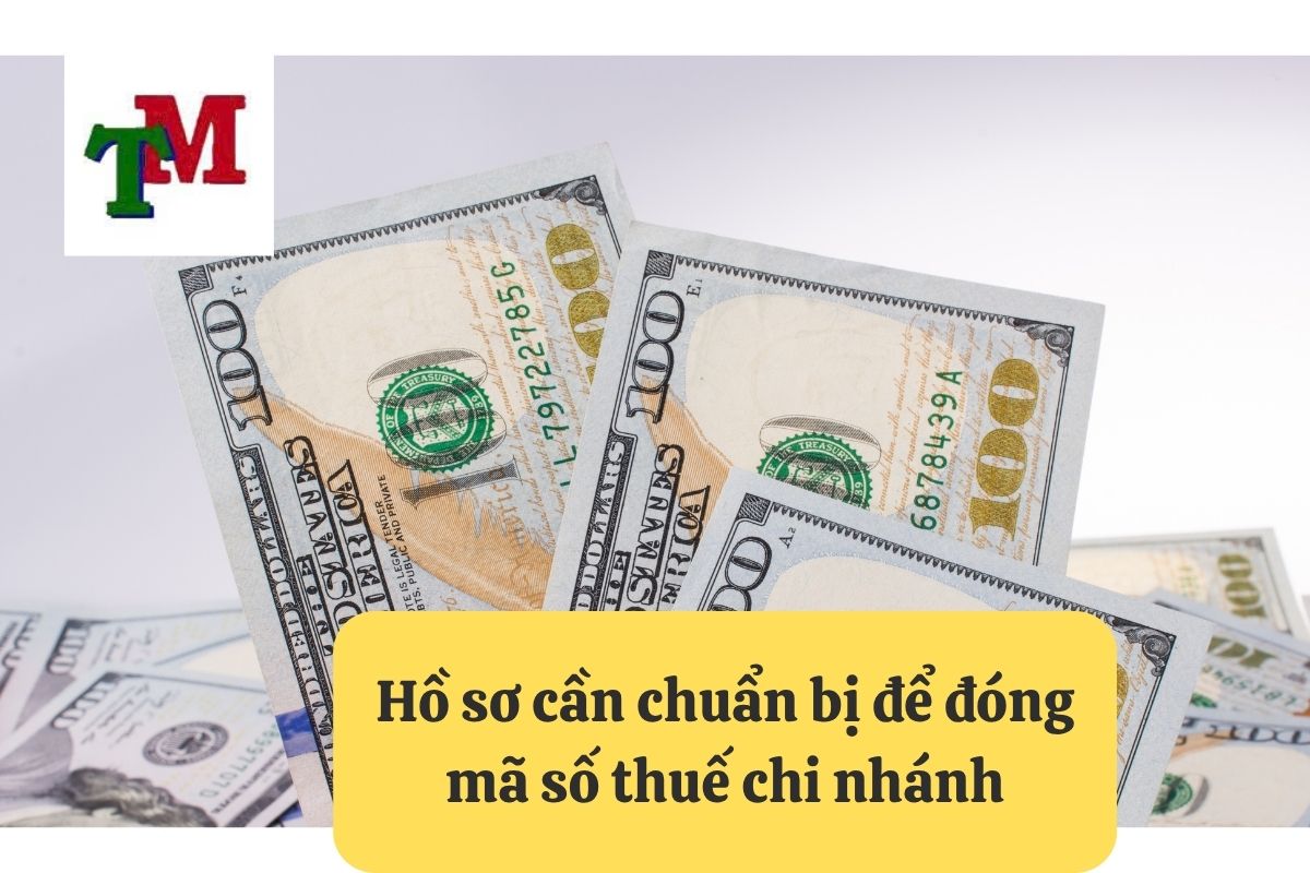 2. thu tuc dong ma so thue chi nhanh cong ty 3