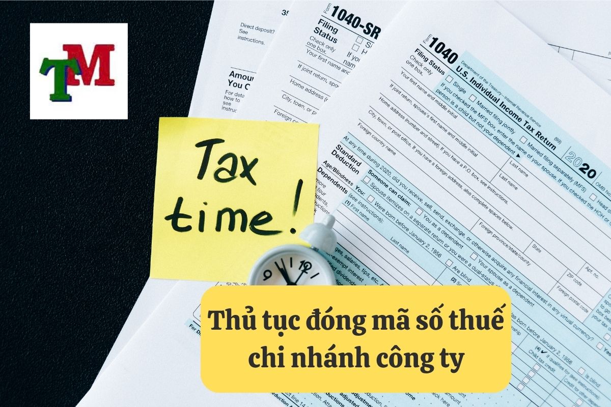2. thu tuc dong ma so thue chi nhanh cong ty