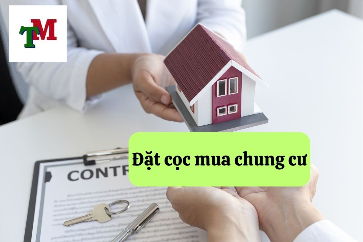 Đặt cọc mua bán căn hộ chung cư: 6 lưu ý cần biết 1 Đặt cọc mua bán căn hộ chung cư: Những điều cần lưu ý