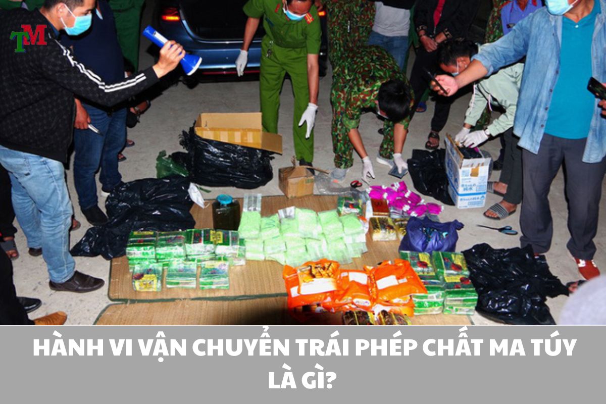 Tội vận chuyển trái phép chất ma túy: Cấu thành tội phạm và hình phạt theo quy định pháp luật