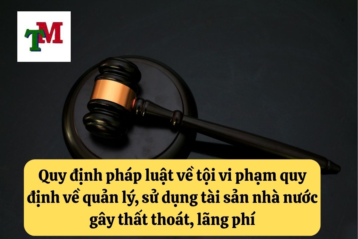 20. Toi vi pham quy dinh ve quan ly su dung tai san Nha nuoc gay that thoat lang phi 2 1