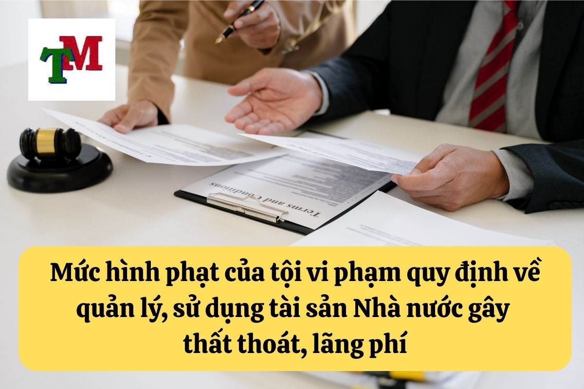 20. Toi vi pham quy dinh ve quan ly su dung tai san Nha nuoc gay that thoat lang phi 3