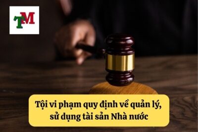 20. Toi vi pham quy dinh ve quan ly su dung tai san Nha nuoc gay that thoat lang phi