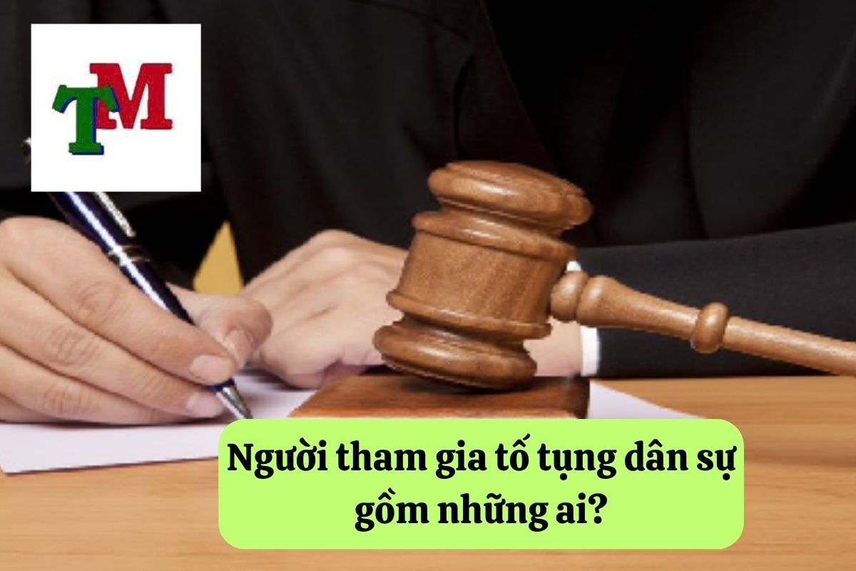 Hiểu biết về người tham gia tố tụng dân sự và quyền lợi của họ 2 20. nguoi tham gia to tung dan su 2