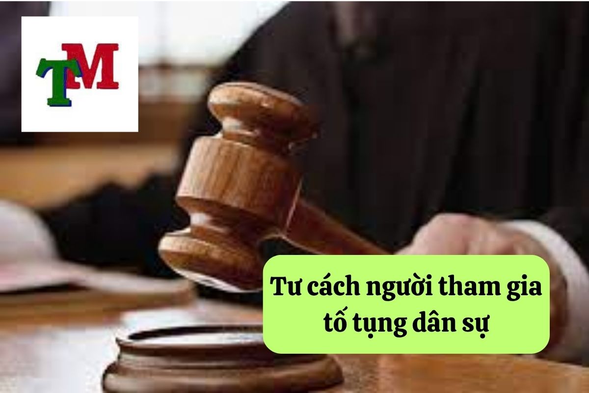 Hiểu biết về người tham gia tố tụng dân sự và quyền lợi của họ 3 20. nguoi tham gia to tung dan su 3