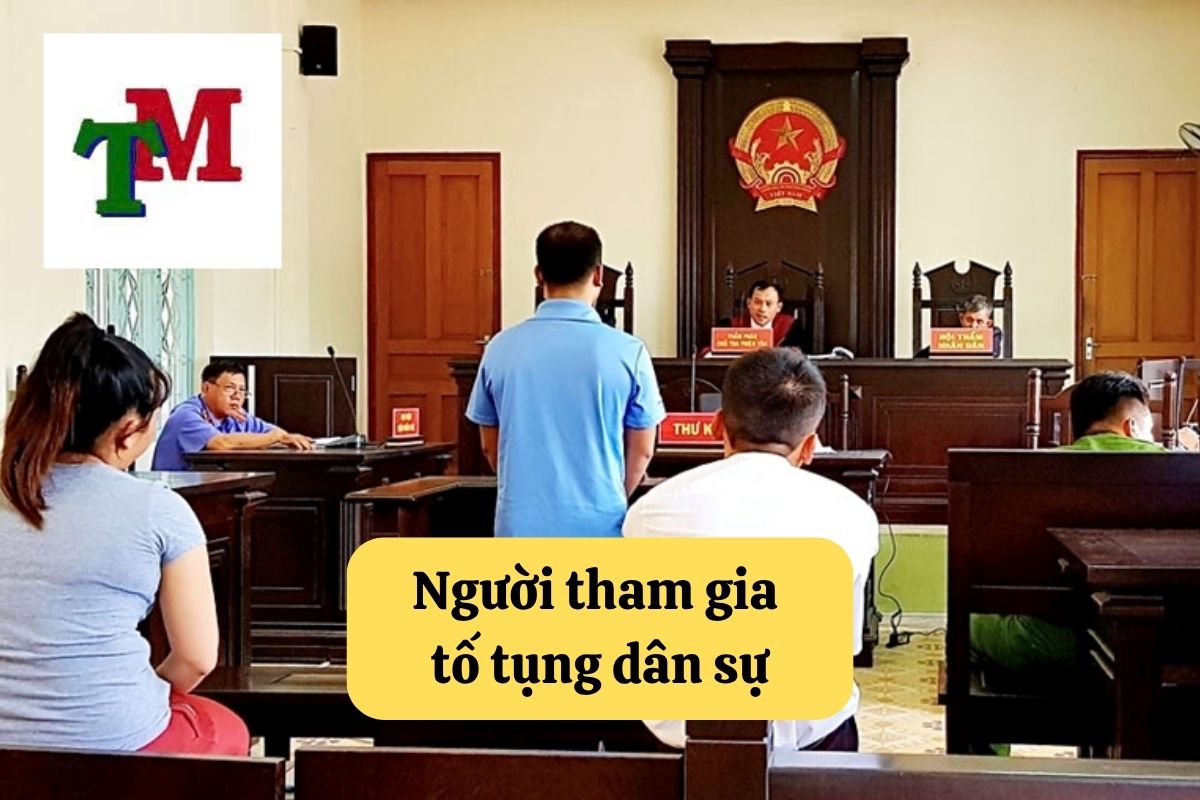 Hiểu biết về người tham gia tố tụng dân sự và quyền lợi của họ 1 20. nguoi tham gia to tung dan su
