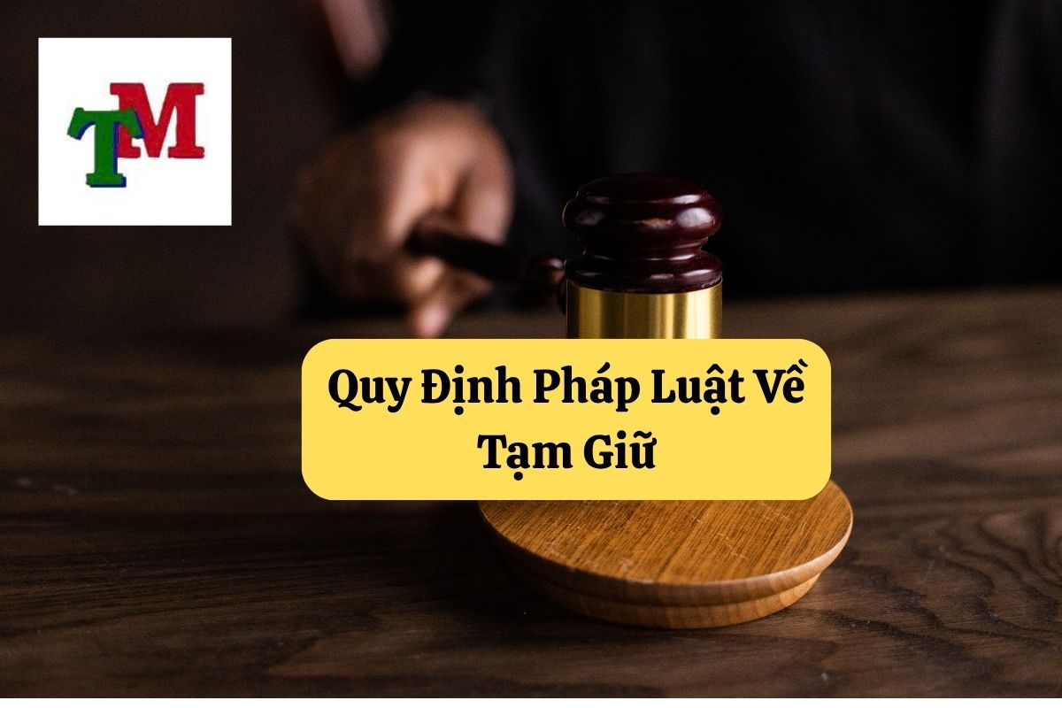 20. tam giam va tam giu trong to tung hinh su 2