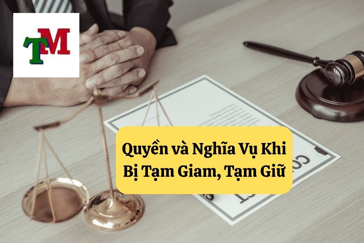 20. tam giam va tam giu trong to tung hinh su 3