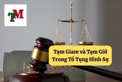 20. tam giam va tam giu trong to tung hinh su