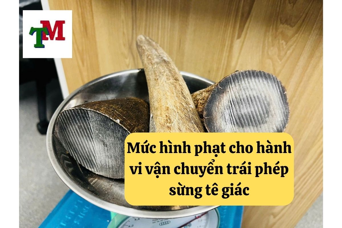 20. van chuyen trai phep sung te giac 3