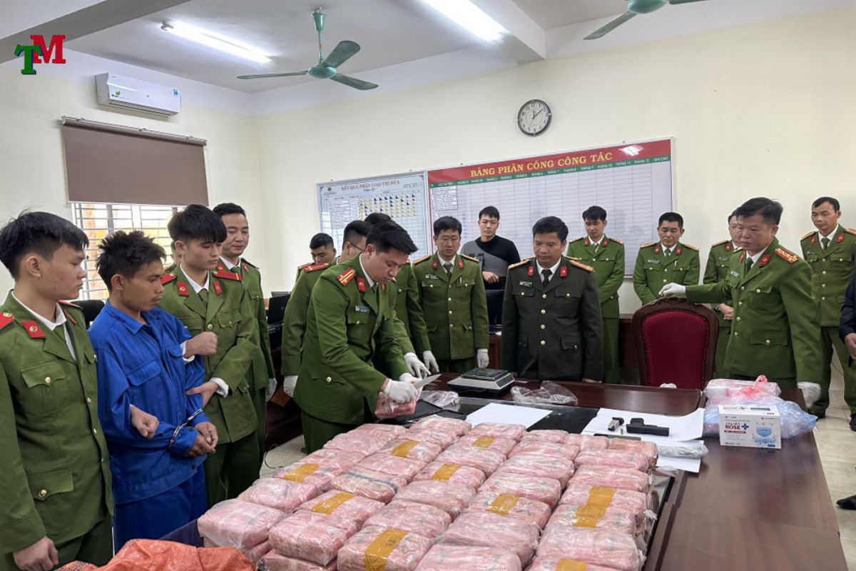 CÁC CÂU HỎI THƯỜNG GẶP VỀ VẬN CHUYỂN TRÁI PHÉP CHẤT MA TÚY