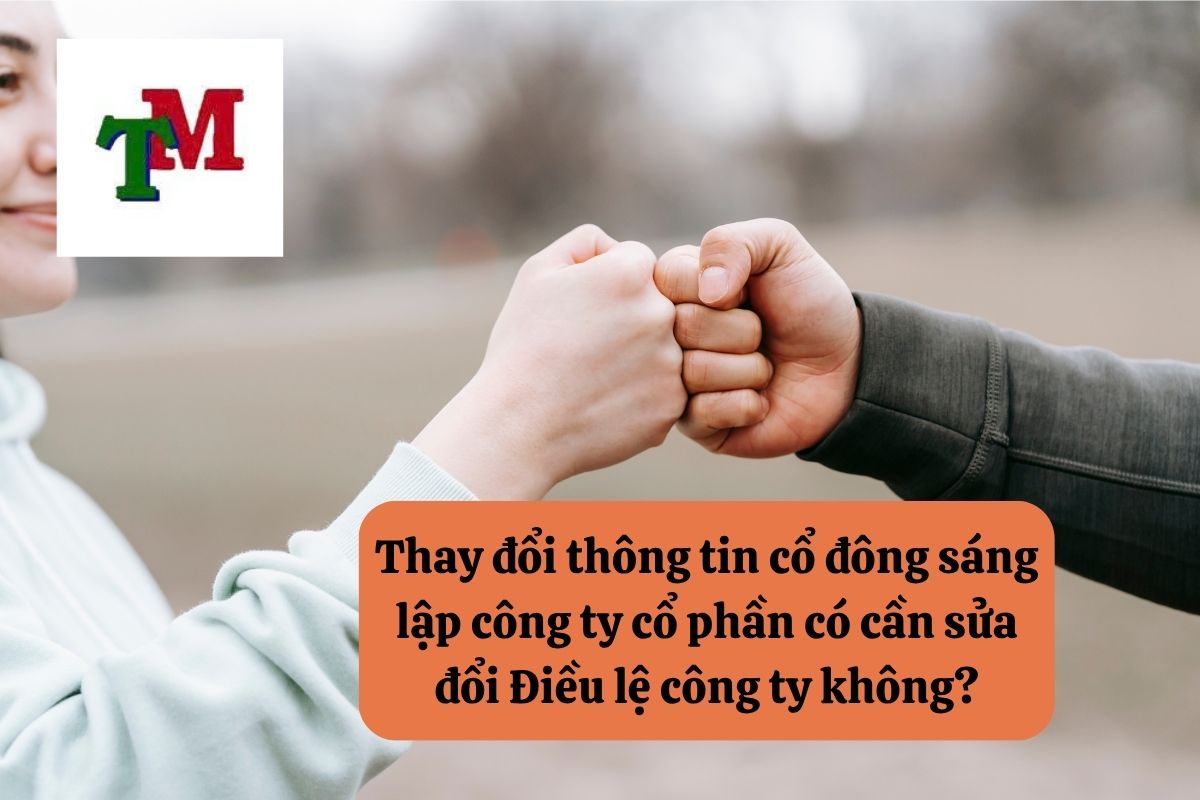 21. thay doi co dong sang lap