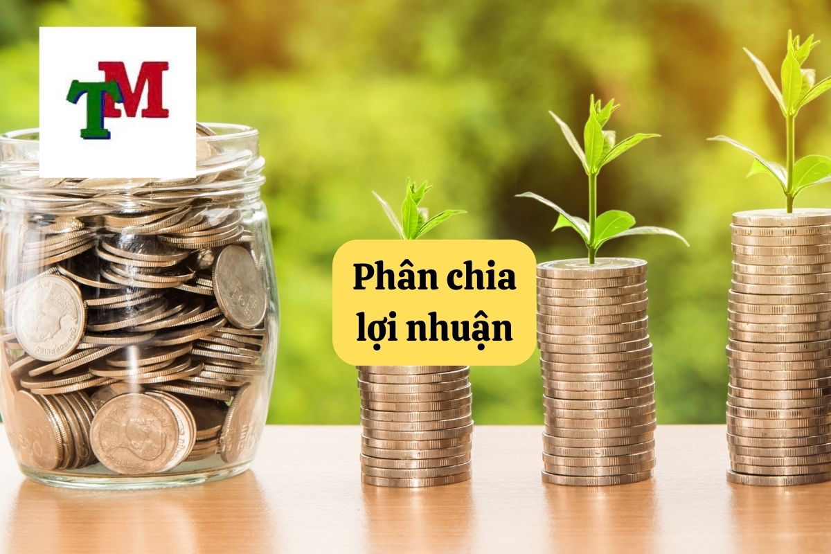 Chia lợi nhuận trong doanh nghiệp: Nguyên tắc và quy định pháp luật 1 28. chia loi nhuan