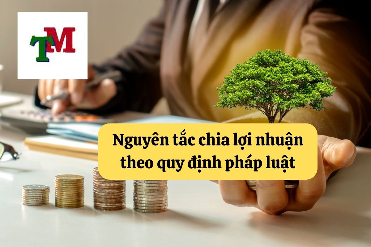Chia lợi nhuận trong doanh nghiệp: Nguyên tắc và quy định pháp luật 3 29. chia loi nhuan