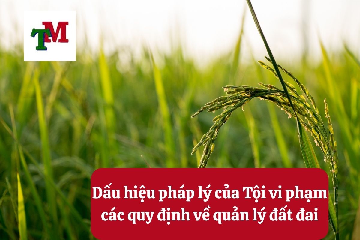 Tội vi phạm các quy định về quản lý đất đai và 4 tư vấn từ Luật sư hình sự 2 Dấu hiệu pháp lý của Tội vi phạm các quy định về quản lý đất đai
