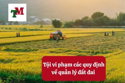 3. Toi vi pham cac quy dinh ve quan ly dat dai