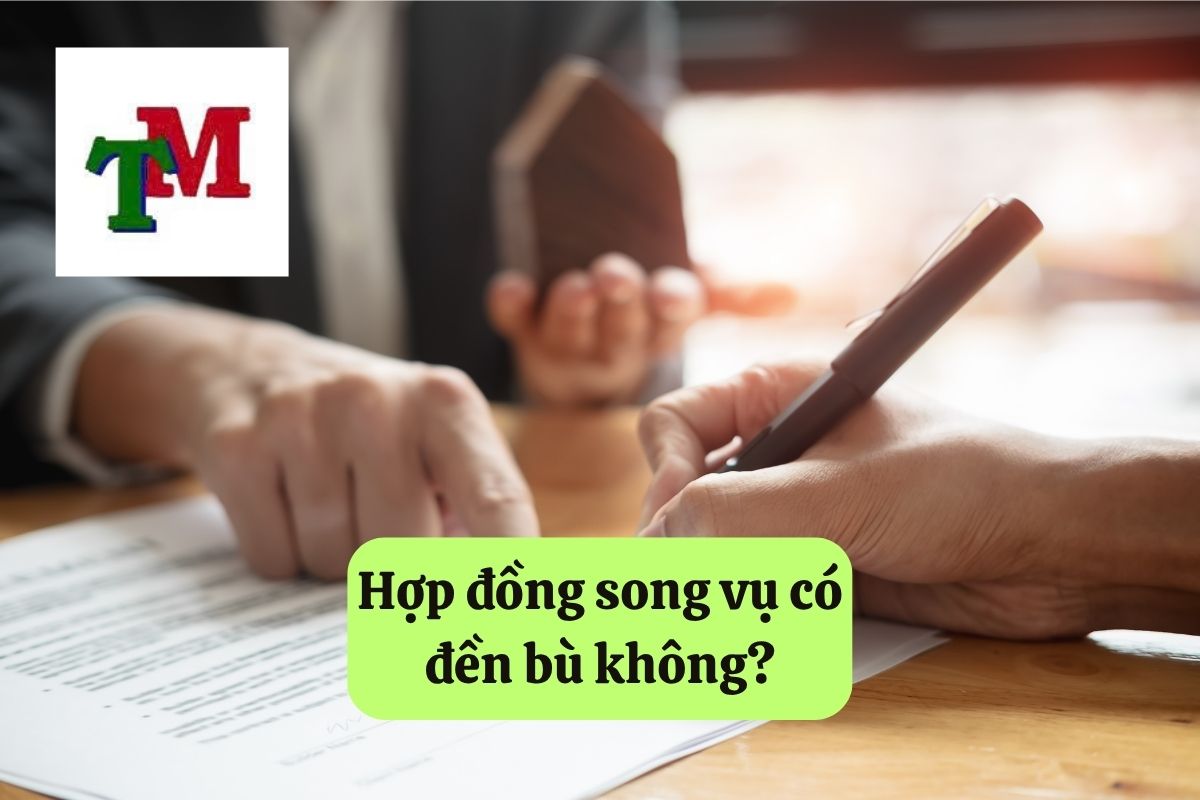 3. hop dong song vu 3