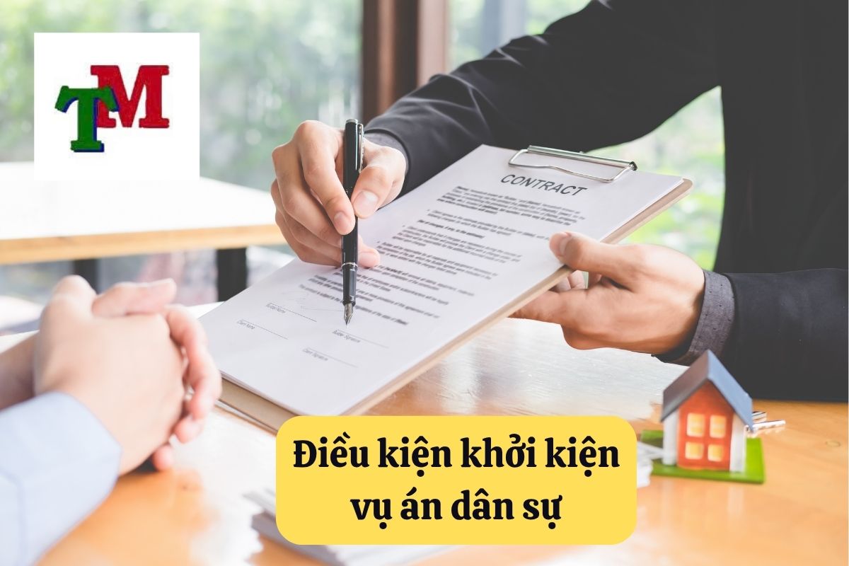 3. khoi kien dan su 2