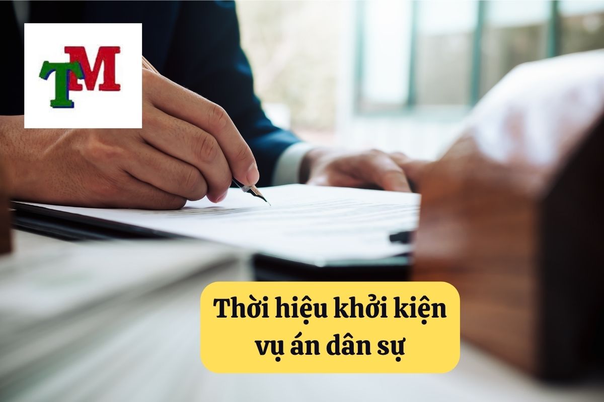 3. khoi kien dan su 3