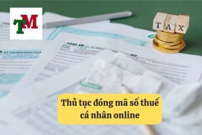 3. thu tuc dong ma so thue ca nhan online