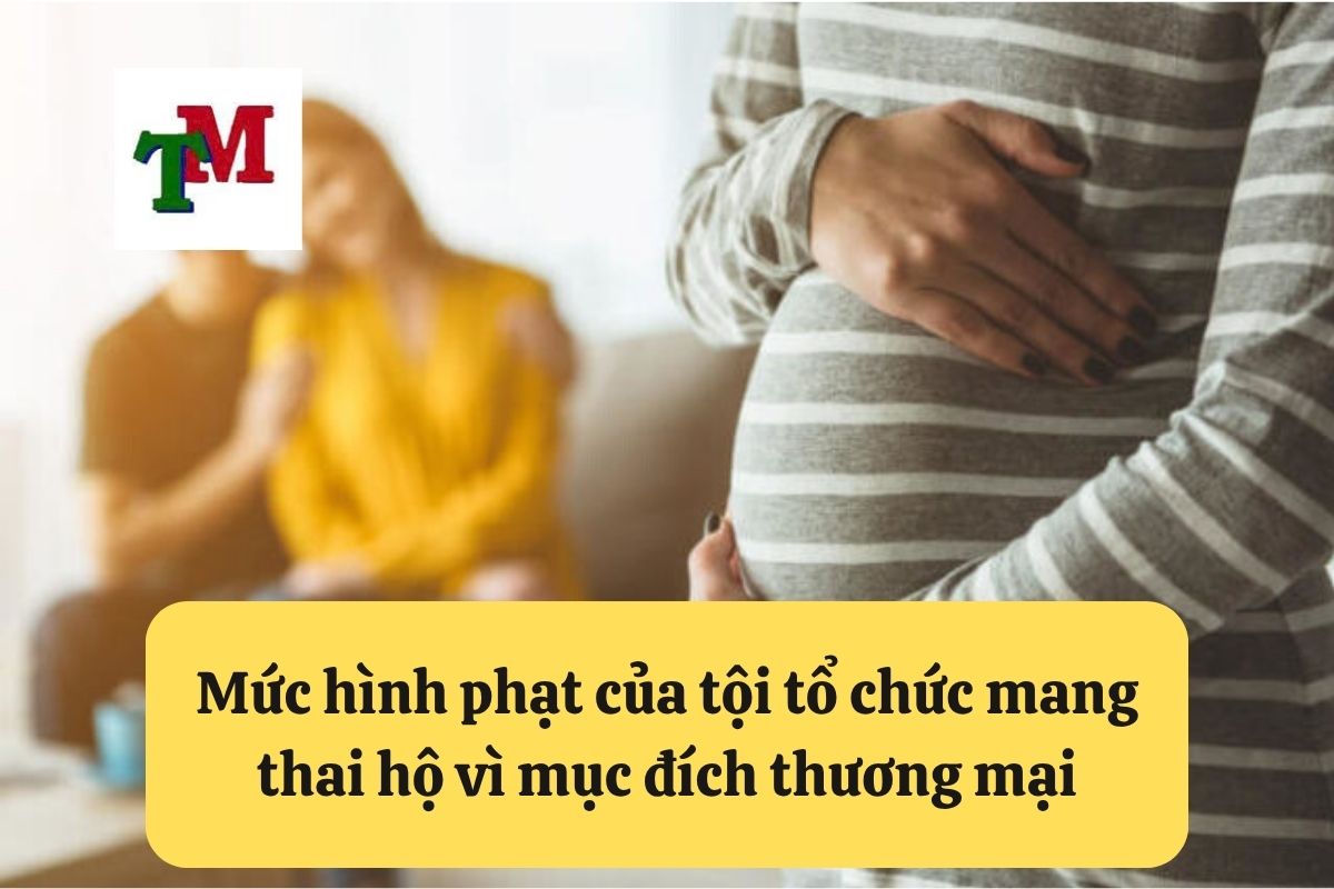 3. toi to chuc mang thai ho vi muc dich thuong mai 2