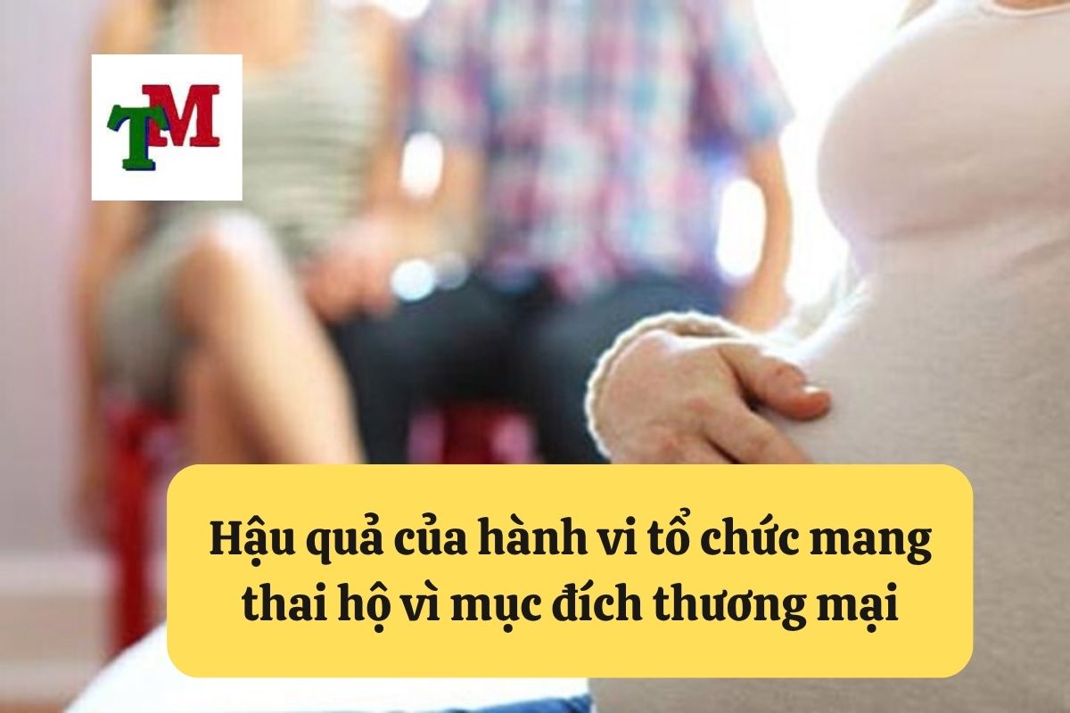 3. toi to chuc mang thai ho vi muc dich thuong mai 3