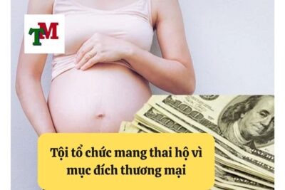 3. toi to chuc mang thai ho vi muc dich thuong mai