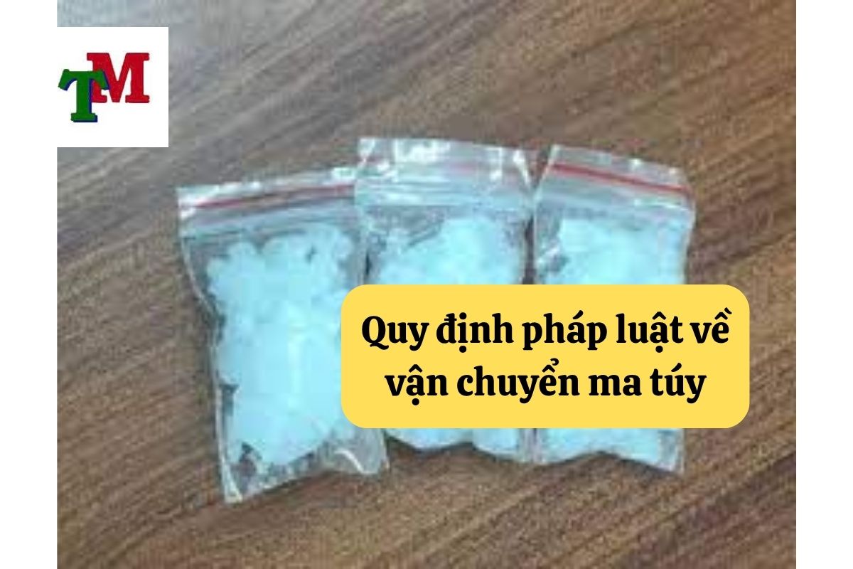 Vô tình vận chuyển ma túy mà không biết có bị xử lý hình sự không? 2 Quy định pháp luật về vận chuyển ma túy