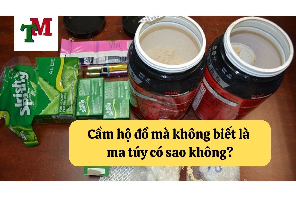 Vô tình vận chuyển ma túy mà không biết có bị xử lý hình sự không? 3 Cầm hộ đồ mà không biết là ma túy có sao không?