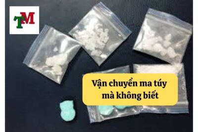 3. van chuyen ma tuy ma khong biet