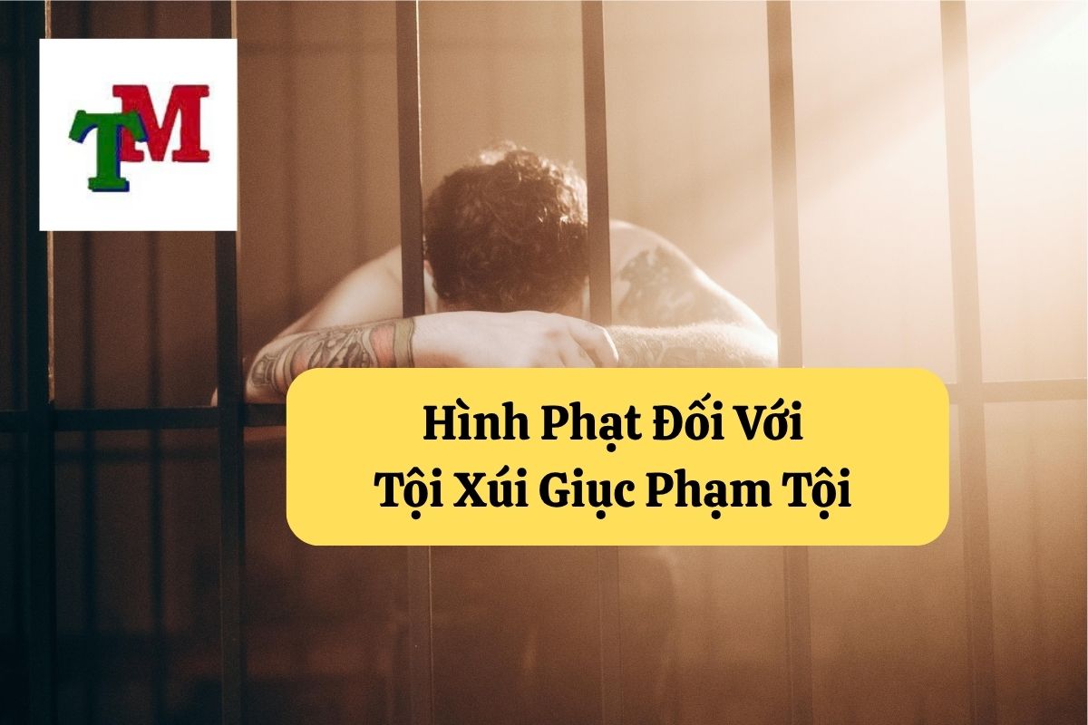 3. xui duc pham toi 3