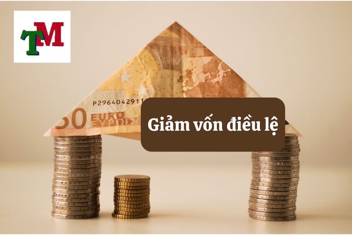 Quy định pháp pháp về giảm vốn điều lệ công ty 1 3.6.1