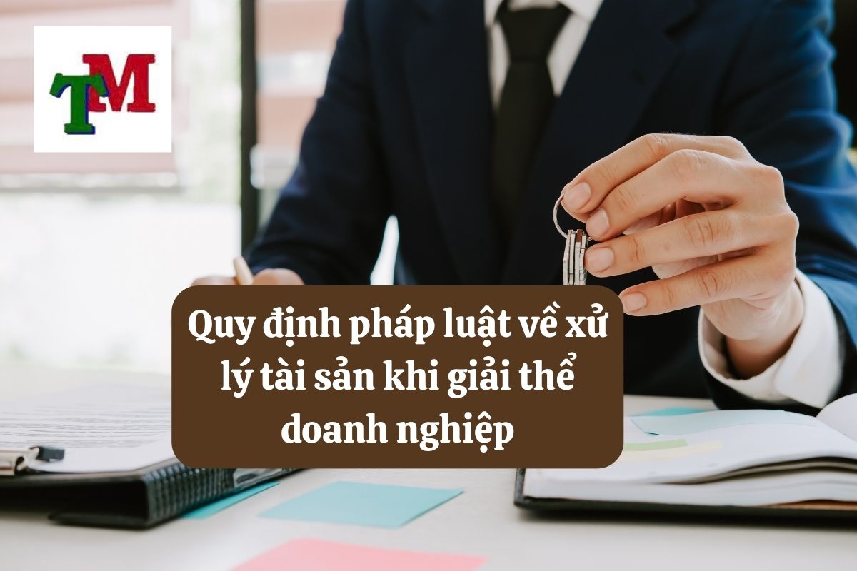 Xử lý tài sản khi giải thể doanh nghiệp theo quy định pháp luật 3 3.6.10 2