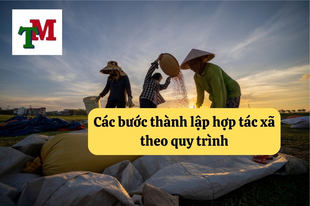 Pháp luật về thành lập hợp tác xã và hoạt động hợp tác xã 3 3.6.4 2