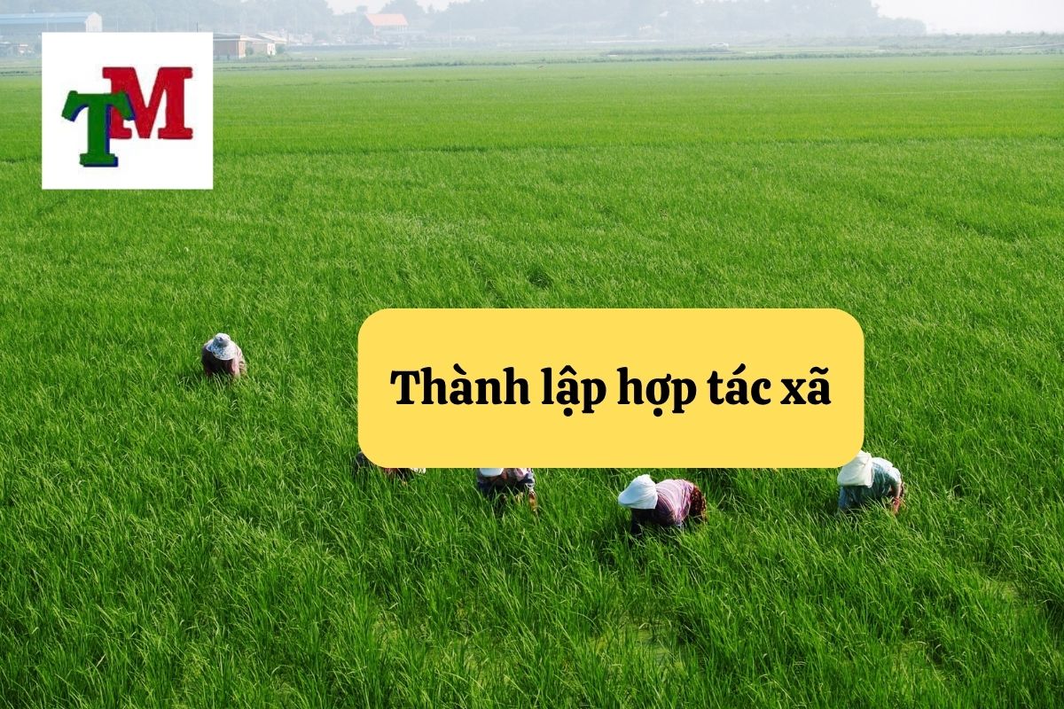 Pháp luật về thành lập hợp tác xã và hoạt động hợp tác xã 1 3.6.4