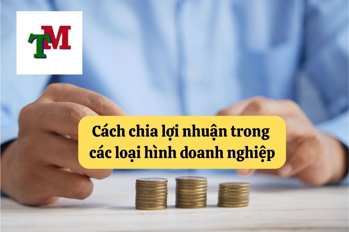 Chia lợi nhuận trong doanh nghiệp: Nguyên tắc và quy định pháp luật 4 30. chia loi nhuan