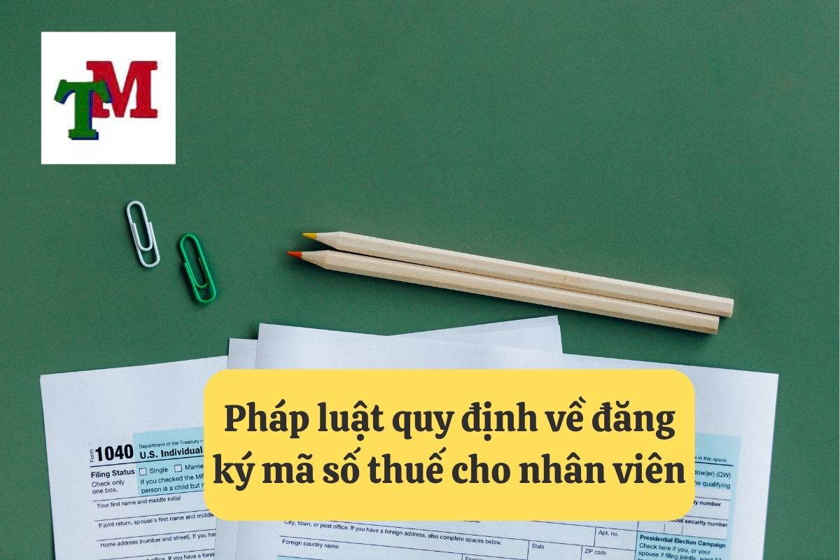 4. doanh nghiep dang ky ma so thue cho nhan vien 2