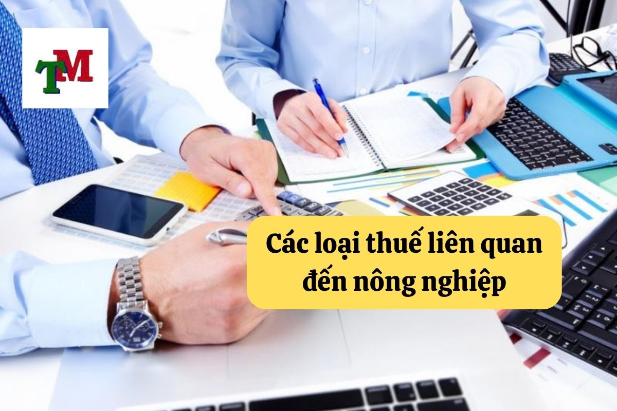 Hướng dẫn về thuế nông nghiệp tại Việt Nam 2 4. thue nong nghiep 2