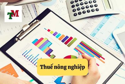 4. thue nong nghiep