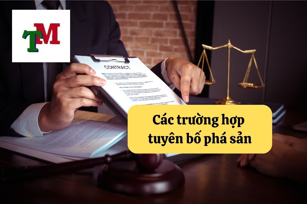 Tuyên bố phá sản – Lối thoát hợp pháp trong thời điểm doanh nghiệp khủng hoảng 3 4.6.1 2