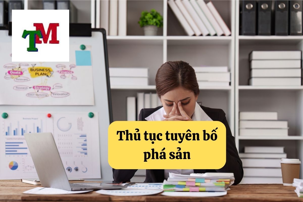 Tuyên bố phá sản – Lối thoát hợp pháp trong thời điểm doanh nghiệp khủng hoảng 4 4.6.1 3