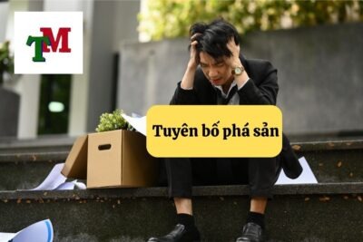 Tuyên bố phá sản – Lối thoát hợp pháp trong thời điểm doanh nghiệp khủng hoảng 9 4.6.1