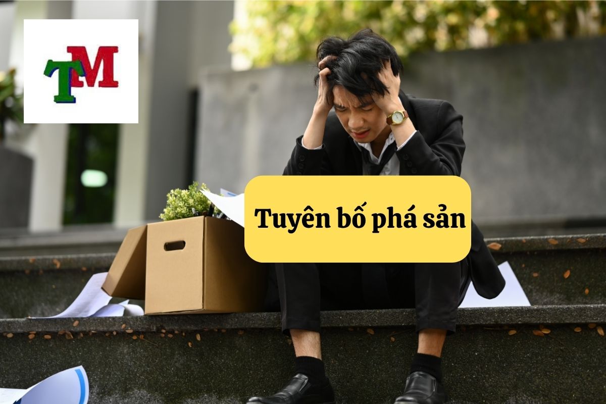 Tuyên bố phá sản – Lối thoát hợp pháp trong thời điểm doanh nghiệp khủng hoảng 1 4.6.1