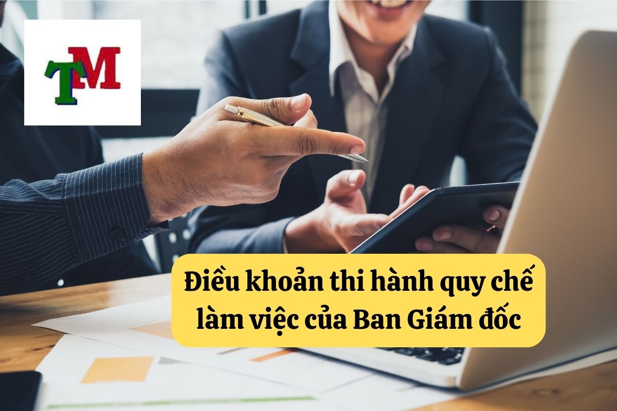 Ban Giám đốc – Vận hành hiệu quả hay rủi ro pháp lý, tất cả bắt đầu từ… quy chế 4 4.6.5 3