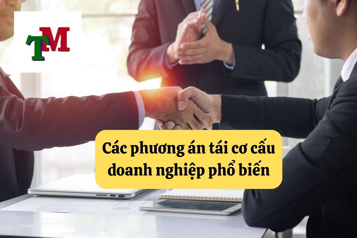 Tái cơ cấu doanh nghiệp – Hành trình sống còn cần nền tảng pháp lý vững chắc 3 4.6.9 2
