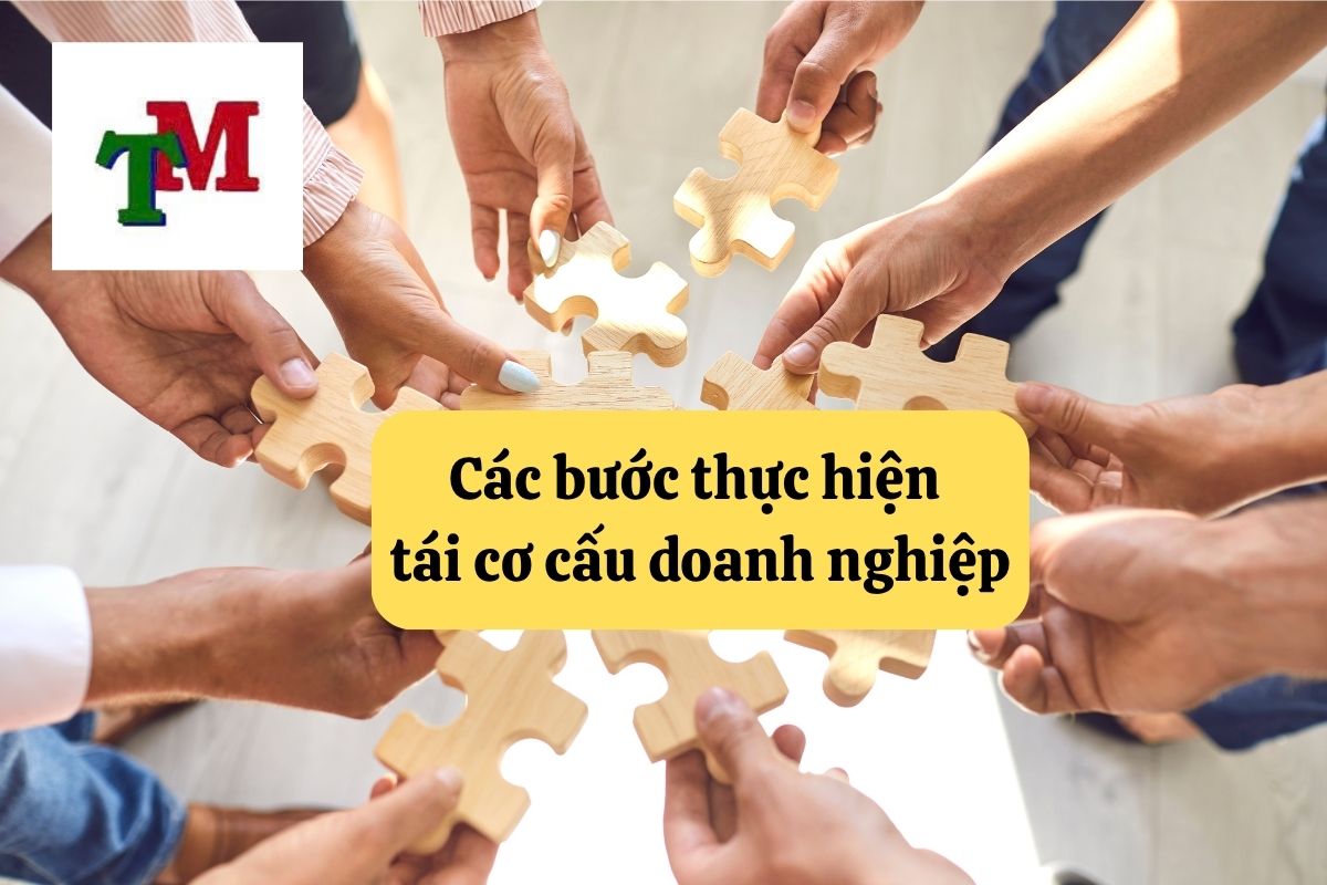 Tái cơ cấu doanh nghiệp – Hành trình sống còn cần nền tảng pháp lý vững chắc 4 4.6.9 3